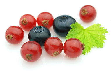 Similar image 299638