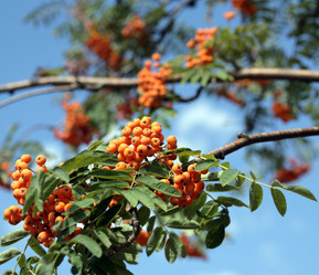 Similar image 299673