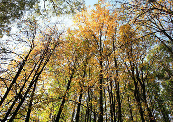 Similar image 299676