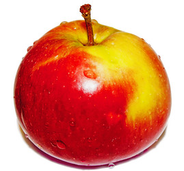 Similar image 299700