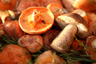 Similar image 299706