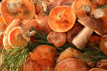 Similar image 299707