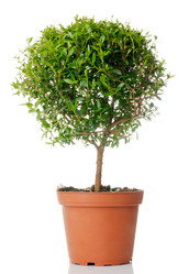 Similar image 299743