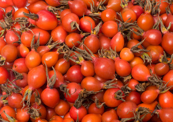 Similar image 299752