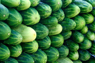 Similar image 299867