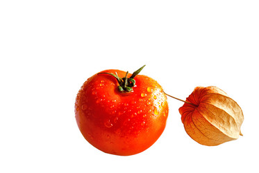 Similar image 299918