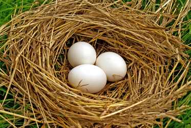 Similar image 299927