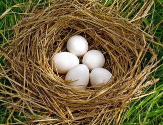 Similar image 299934