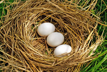 Similar image 299936