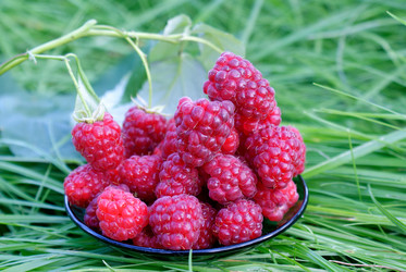 Similar image 299938