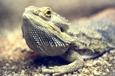 Similar image 300046