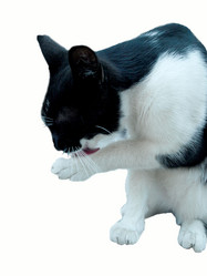 Similar image 300054