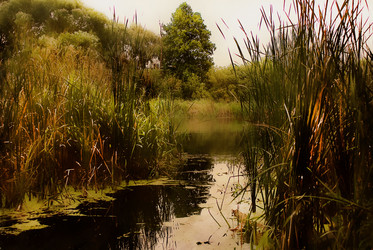 Similar image 300058