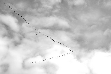 Similar image 300074