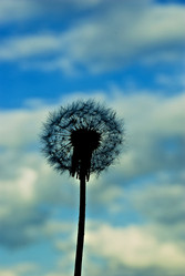 Similar image 300080