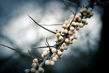 Similar image 300082