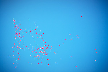 Similar image 300083