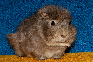 Similar image 300099