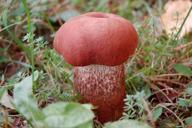 Similar image 300113