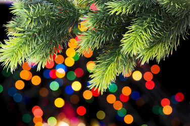 Similar image 300130