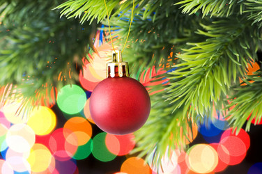 Similar image 300137