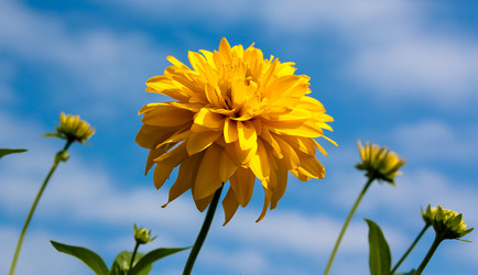 Similar image 300146