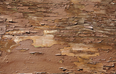 Similar image 300187