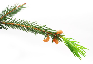 Similar image 300201