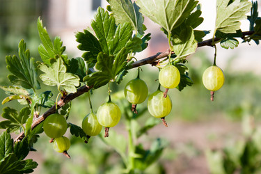 Similar image 300224