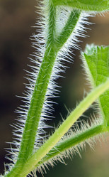 Similar image 300245