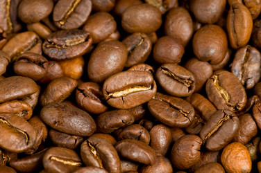 Similar image 300263