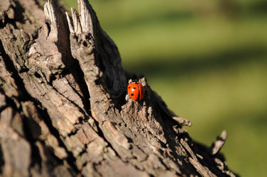 Similar image 300289