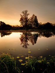 Similar image 300293