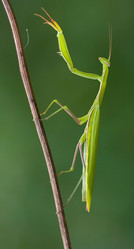 Similar image 300333