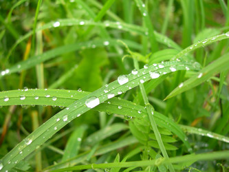 Similar image 300347