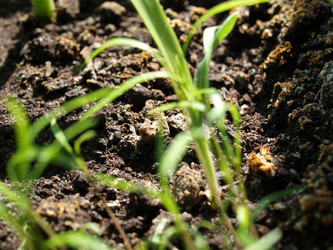 Similar image 300368