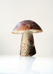 Similar image 300376