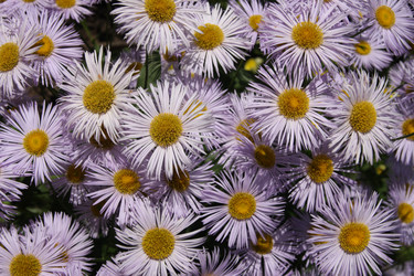 Similar image 300379