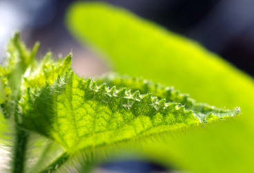 Similar image 300387