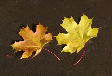 Similar image 300419