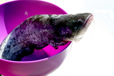 Similar image 300424