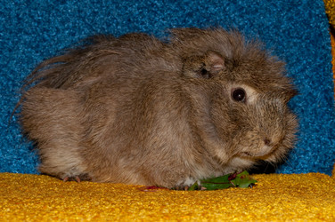 Similar image 300445