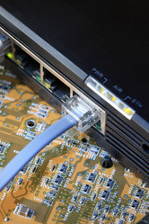 Similar image 300538