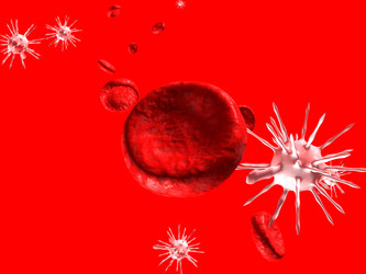 Similar image 300549