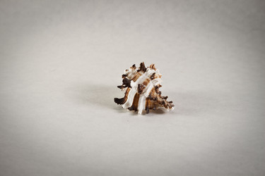 Similar image 300581