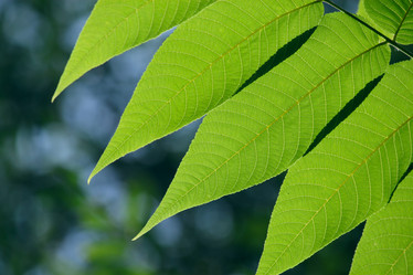 Similar image 300592