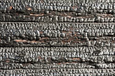 Similar image 300598