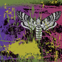 Similar image 300810