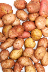 Similar image 300976