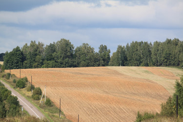 Similar image 300981